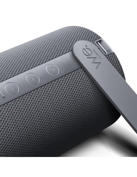 Loewe Hear 2 Storm Grey Bluetooth Hoparlör