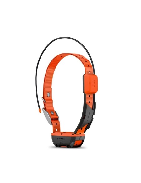 Garmin Alpha T 20 - Köpek Tasması