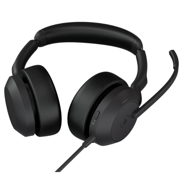 Jabra Evolve2 50 Duo Usb Ms Kablolu Kulak Üstü...