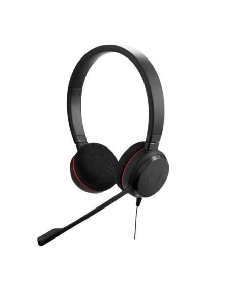 Jabra Evolve 20 Duo USB-C/A MS Mikrofonlu Kulak Üstü Kulaklık