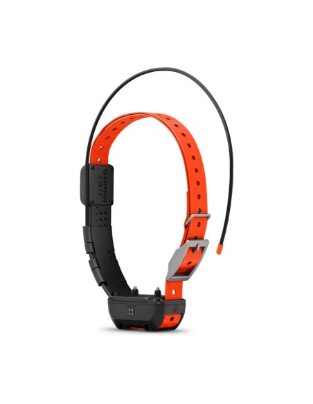 Garmin Alpha TT 25 Köpek Tasması