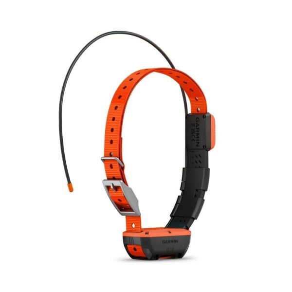 Garmin Alpha T 20 - Köpek Tasması