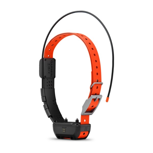 Garmin Alpha TT 25 Köpek Tasması