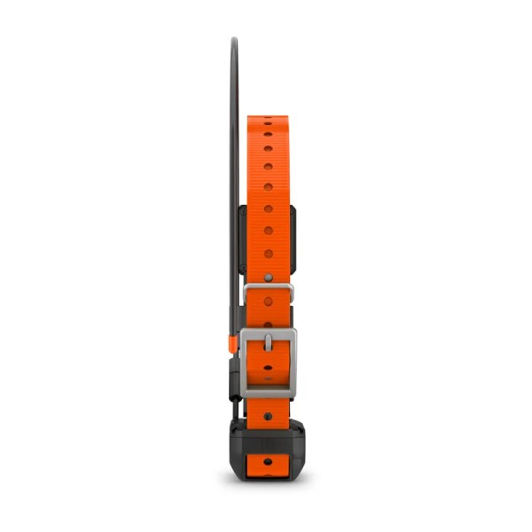 Garmin Alpha TT 25 Köpek Tasması