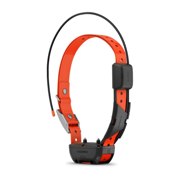Garmin Alpha TT 25 Köpek Tasması