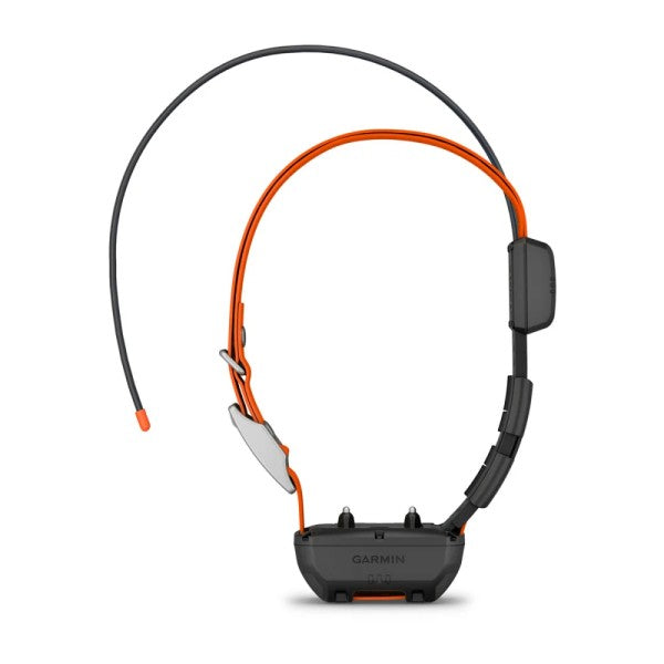 Garmin Alpha TT 25 Köpek Tasması